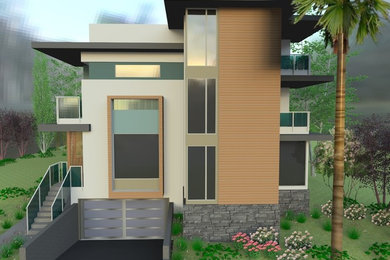 THE CARLETON ROW HOMES ( 3D RENDERINGS)