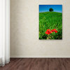 Michael Blanchette 'Red Poppies and Oak' Canvas Art, 32x22