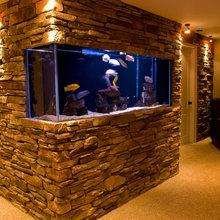 fish tank