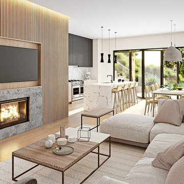 Living Room / Kitchen