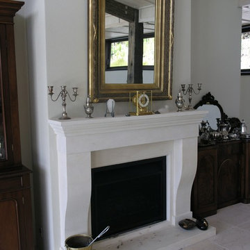 French Fireplace Designs
