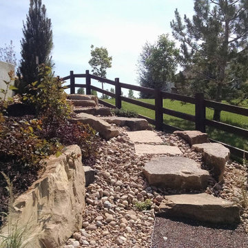Detailed Landscape