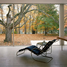 Outside In: Curtain Walls