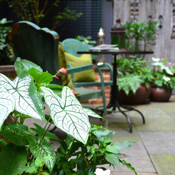 Greenwich Village Backyard