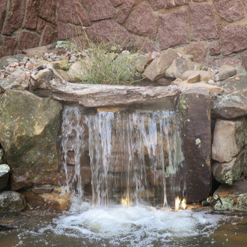 Oklahoma City Zoo - Endangered Turtle Habitat