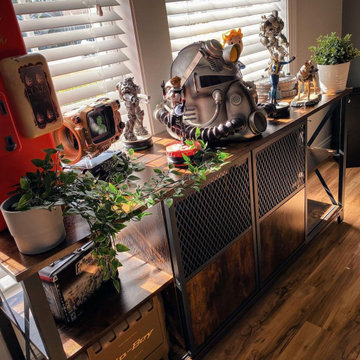 Houzz.com | Collector Figures, Model and Toys Display Cabinets Ideas