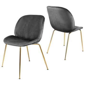 Dark Gray Velvet Shell Dining Chairs With Gold Legs, Set of 2