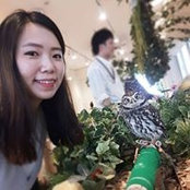 Foto von Jie Min Cho