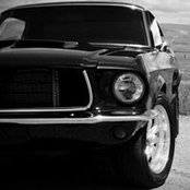Blake Kellogg's photo