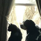 Cindy Golisano's photo