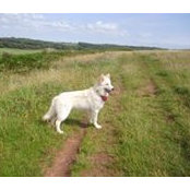 Jane Barton's photo