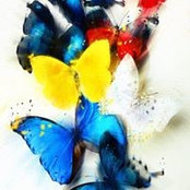 Diane Levin's photo