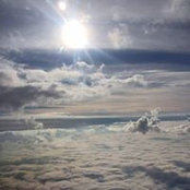 Tammy Strickland's photo
