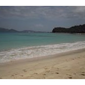Connie Masi's photo