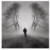 Mohsen Abouseifs foto