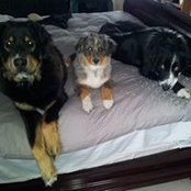 Terri Buck-Orr's photo