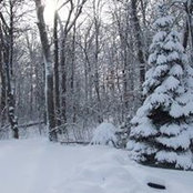 Cora Schimanski's photo