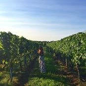 Stacey Rutkin's photo