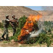 Tamuz Ehud's photo