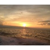 Kim Jacquet's photo