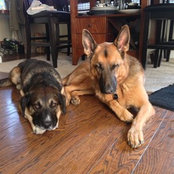 Alayne Nold's photo
