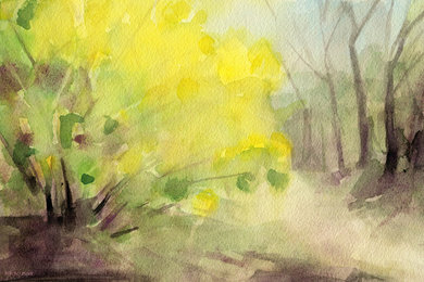 Forsythia In Central Park NYC Watercolor