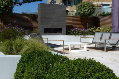 Photo of a mid-sized contemporary backyard full sun garden in Hertfordshire.