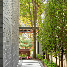 final backyard ideas