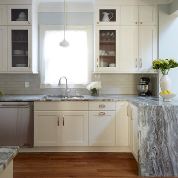 100 Year Old Chicago Farm House remodel