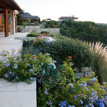 Back Porch and Landscape
