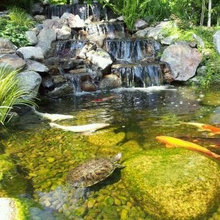 Landscape Ideas