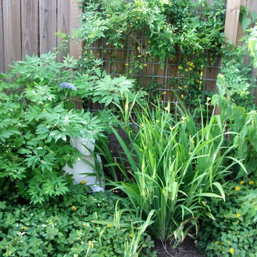Herbs and Pond...beautiful hand made brick!