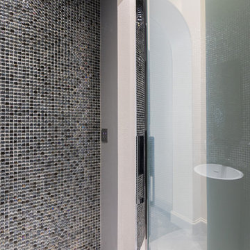 Contemporary Bath with Varying Opacity Door