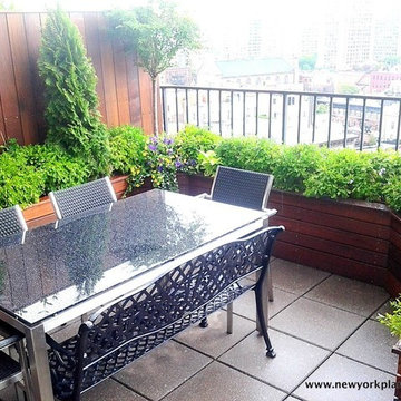 Best Patio Designer - NYPlantings