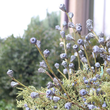 Seasonal Display