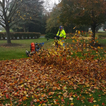 Fall Yard Cleanup, Leaf Removal, and Mowing — Before & After