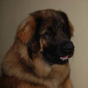 Sinead Treacy's photo