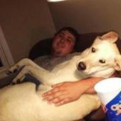 Sheldon Stoufer's photo