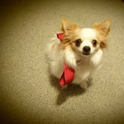 Lynne Johnston Jarvis's photo