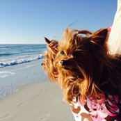 Foto von Amber Anderson