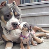 Michelle Bast Waeckerle's photo