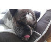 Rob Jolicoeur's photo