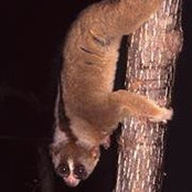 Hugh Lindsay's photo