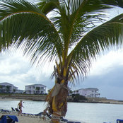 Christine DiMarco's photo