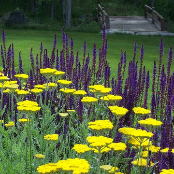 Guest House Cottage Garden