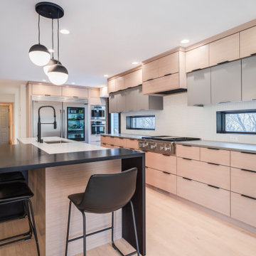Minimalist Modern Kitchen