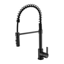 Kitchen Faucet
