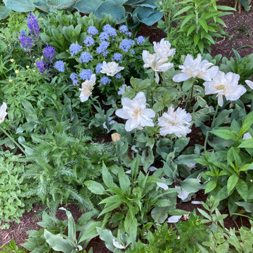 Flower Border, Water Mill, NY