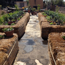 Garden Ideas