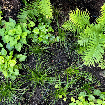 West Town Woodland and Prairie Pollinator Gardens